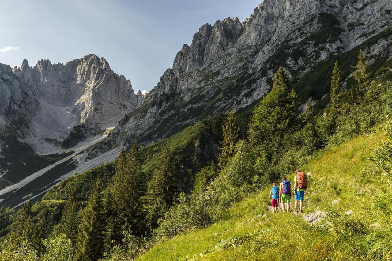Trattenbachhof Scheffau am Wilden Kaiser Buitenkant foto