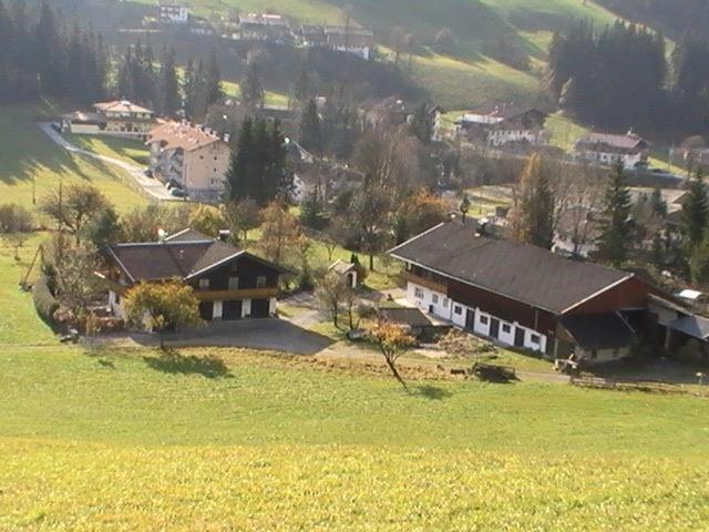 Trattenbachhof Scheffau am Wilden Kaiser Buitenkant foto